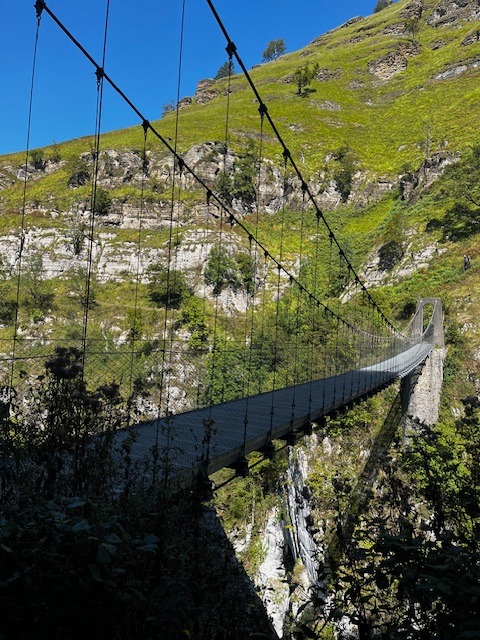 554754615_1346305387019964_6720764759148304956_n