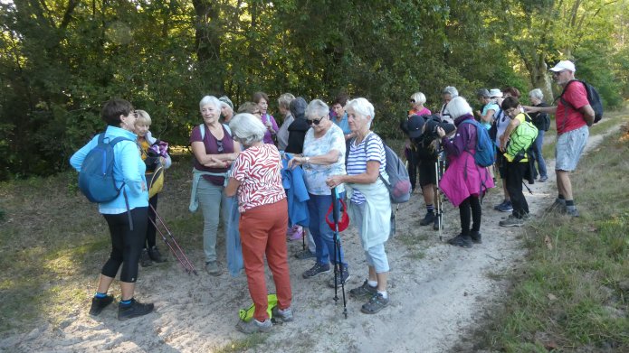 30 septembre : La Marche Forestière à Labenne