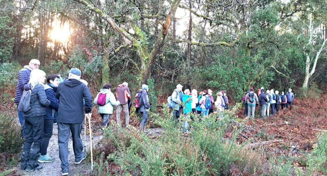20 janvier : La Marche Forestière entre Labenne et Capbreton