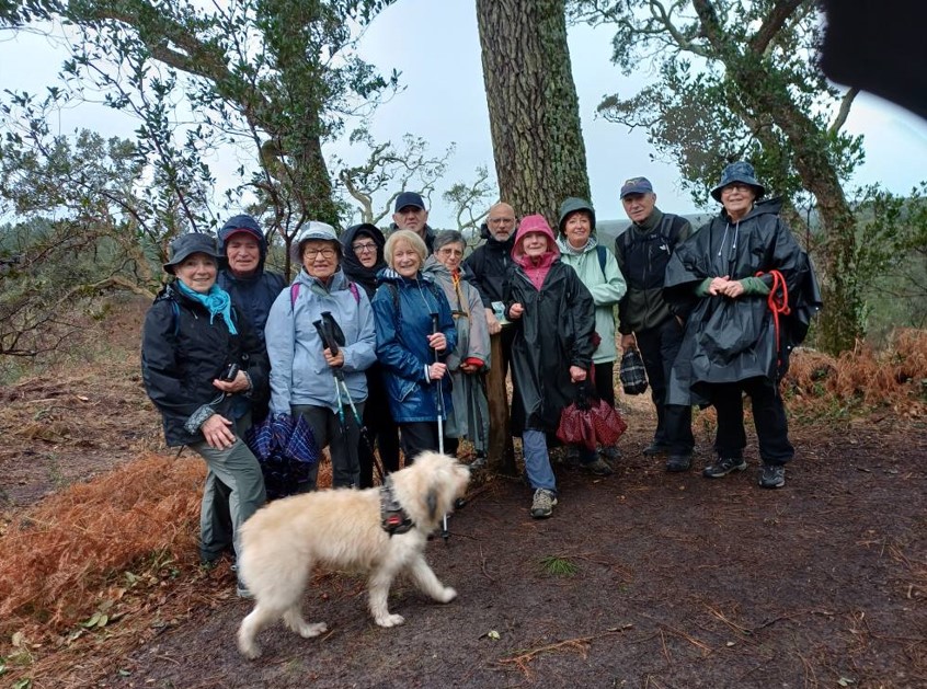 27 janvier : La Marche Forestière à LABENNE
