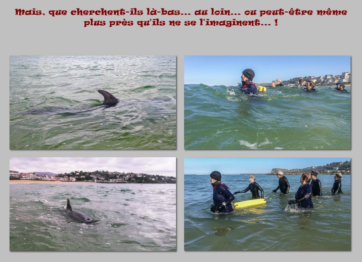 03 et 17 Mars : Marche Aquatique à Saint Jean de Luz