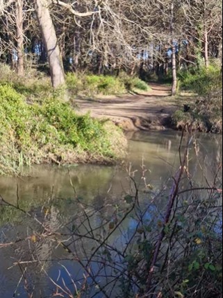 17 Mars : La Marche Forestière sur le Chemin de la Montagne à ONDRES