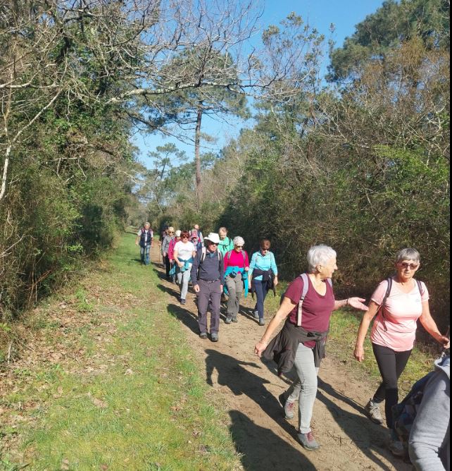 24 mars : La Marche Forestière entre Tarnos et Ondres