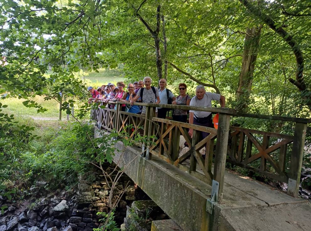 24 juin : La Marche Forestière à l'Ardanavy